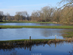 hoog water Dinkel